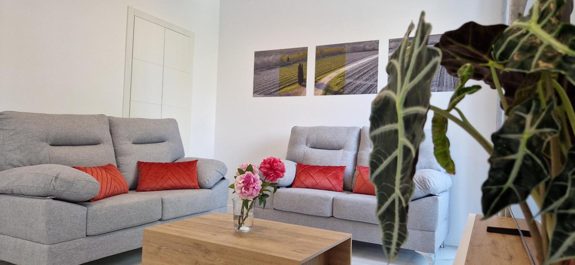 Apartament Arenal *